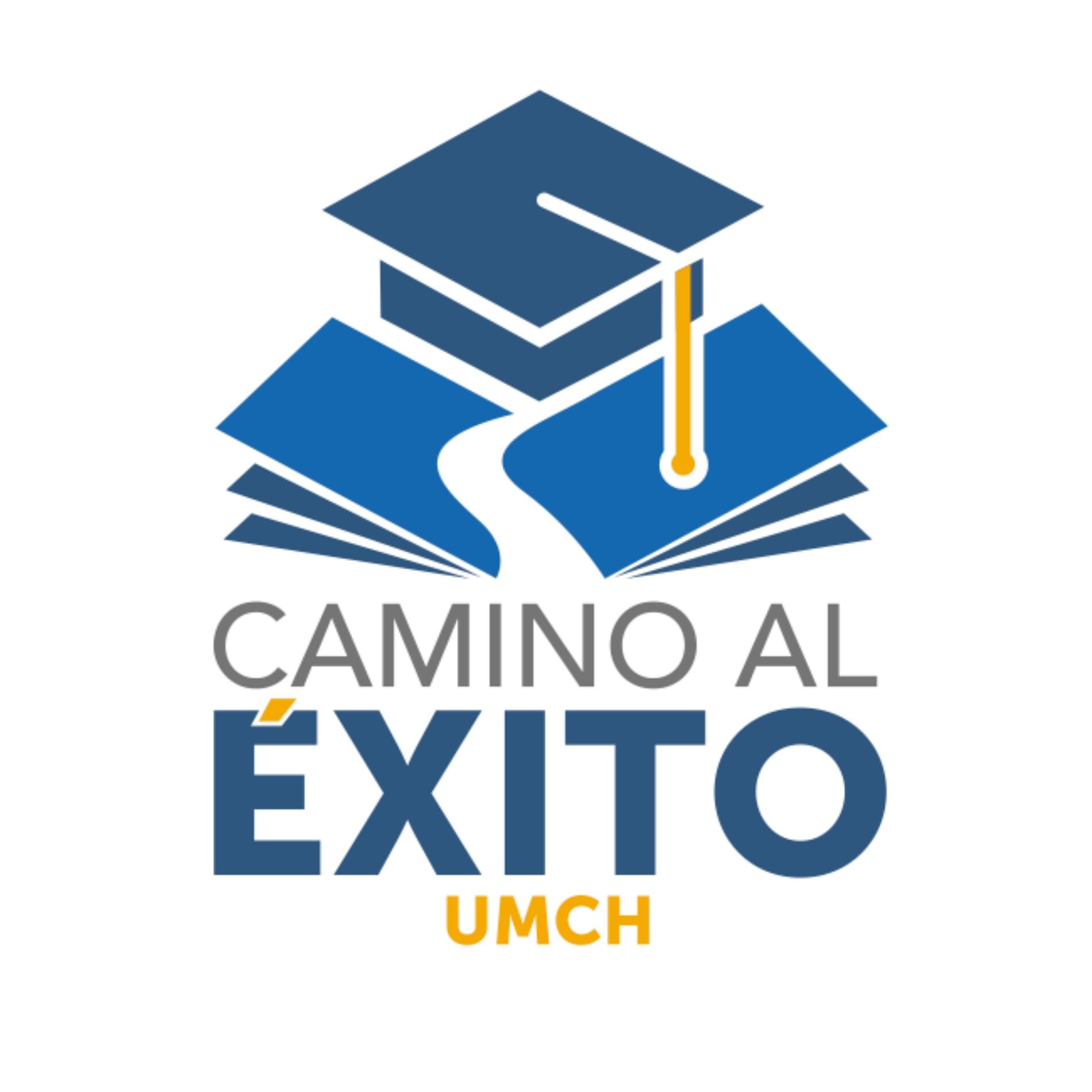 Album cover of Camino al éxito