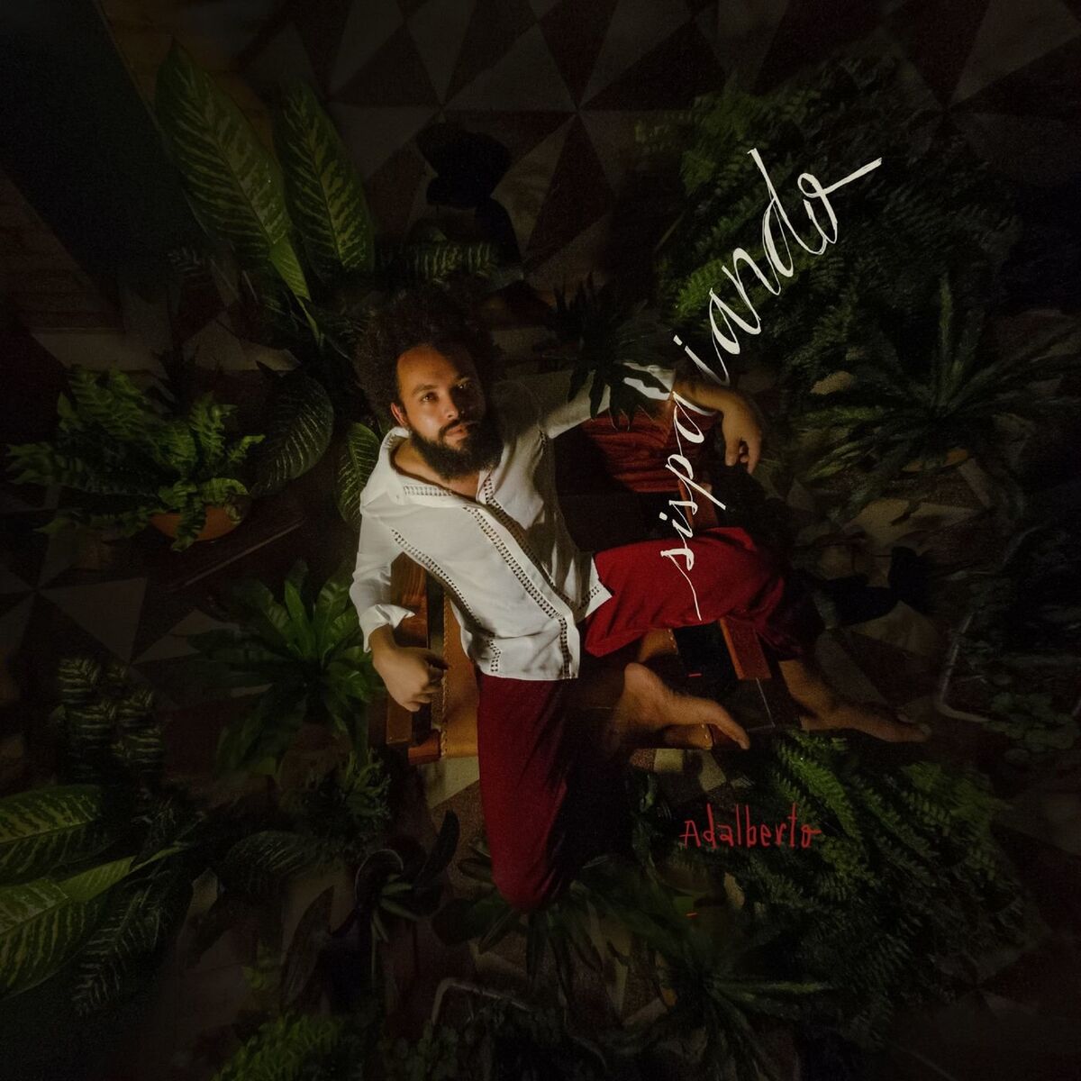 Album cover of Sispaiando