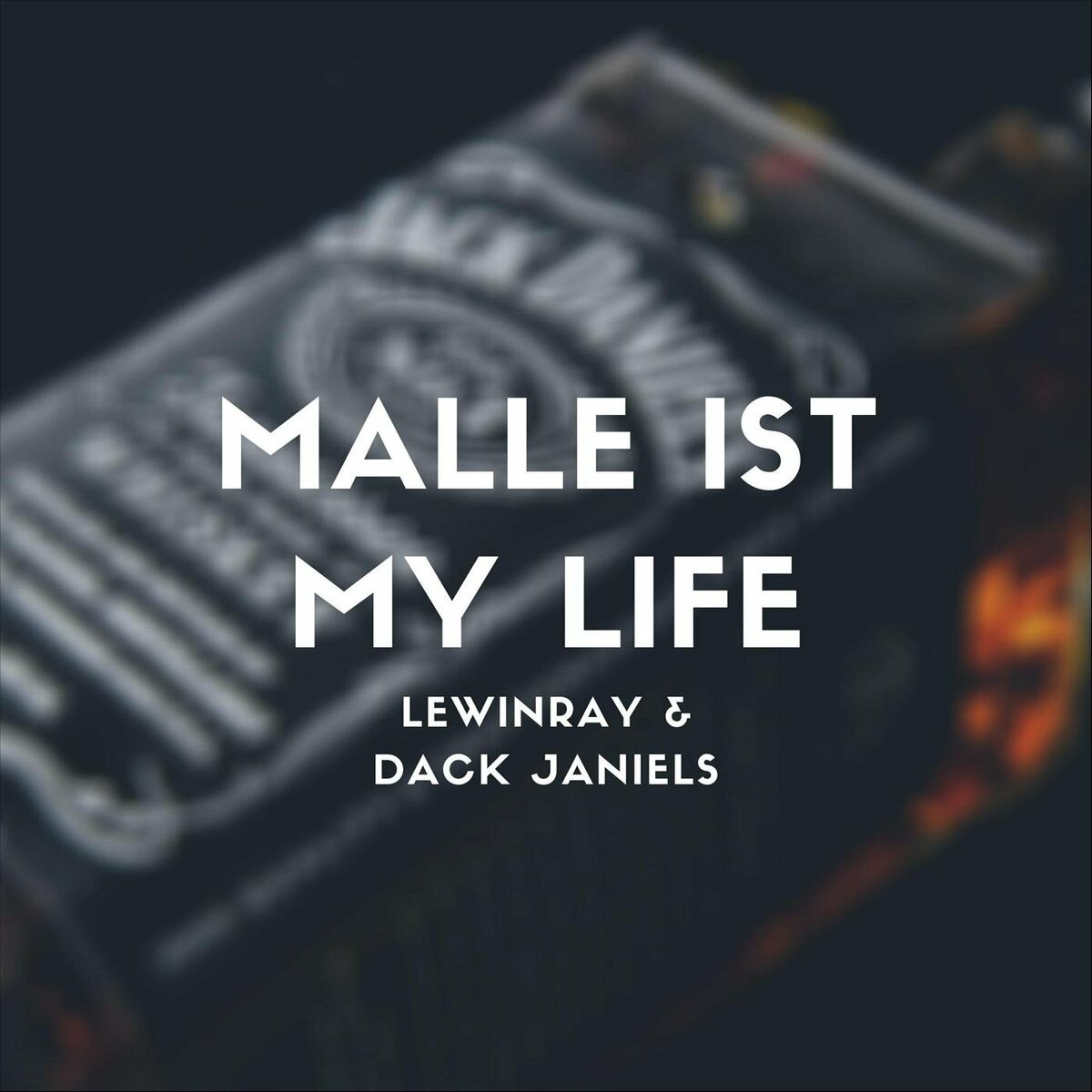 Album cover of Malle ist my Life