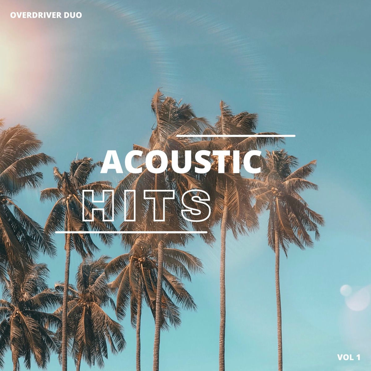 Album cover of Acoustic Hits, Vol. 1
