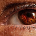 Look through my eyes