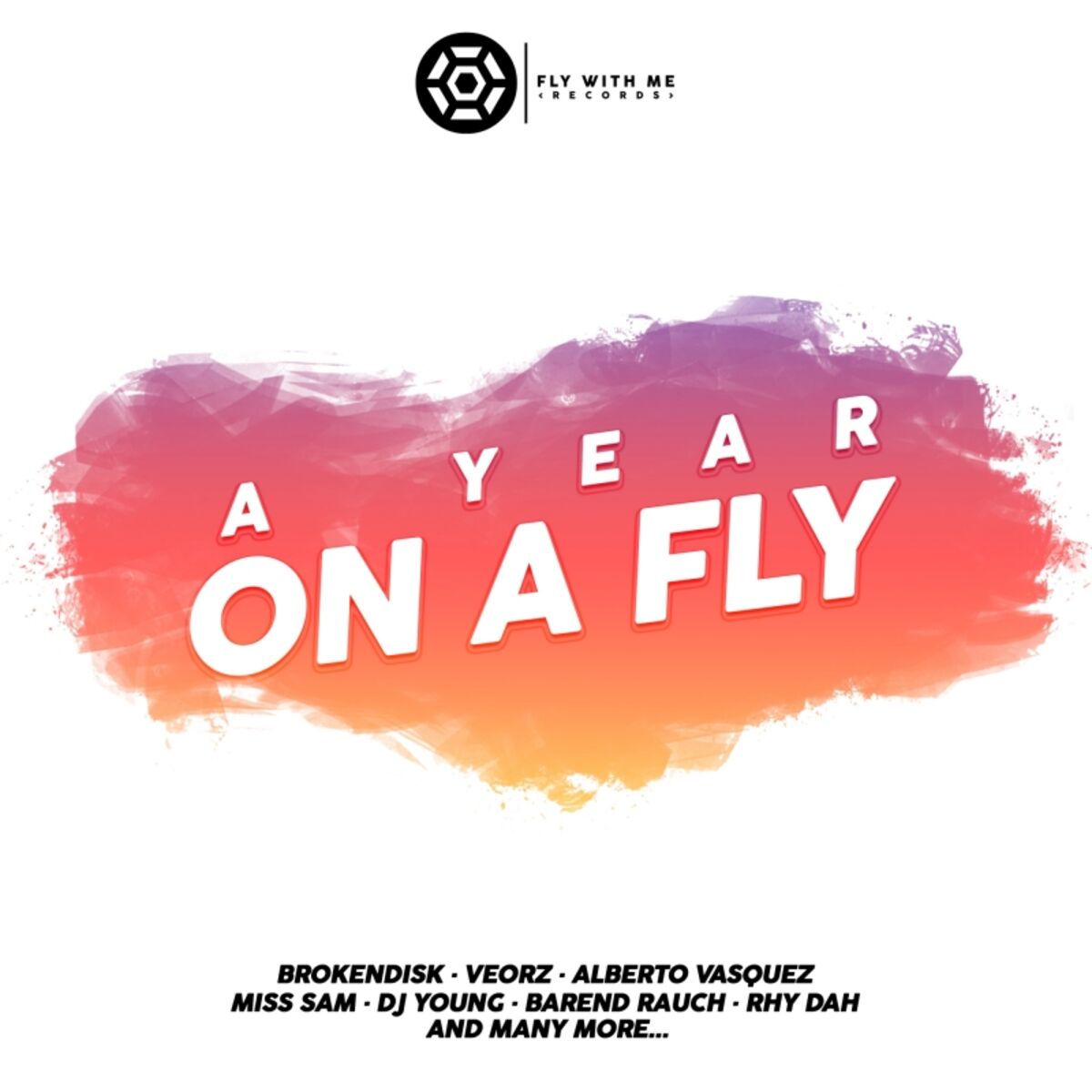 Album cover of A Year On A Fly