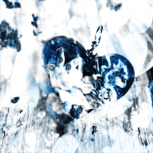 Aquatic heart