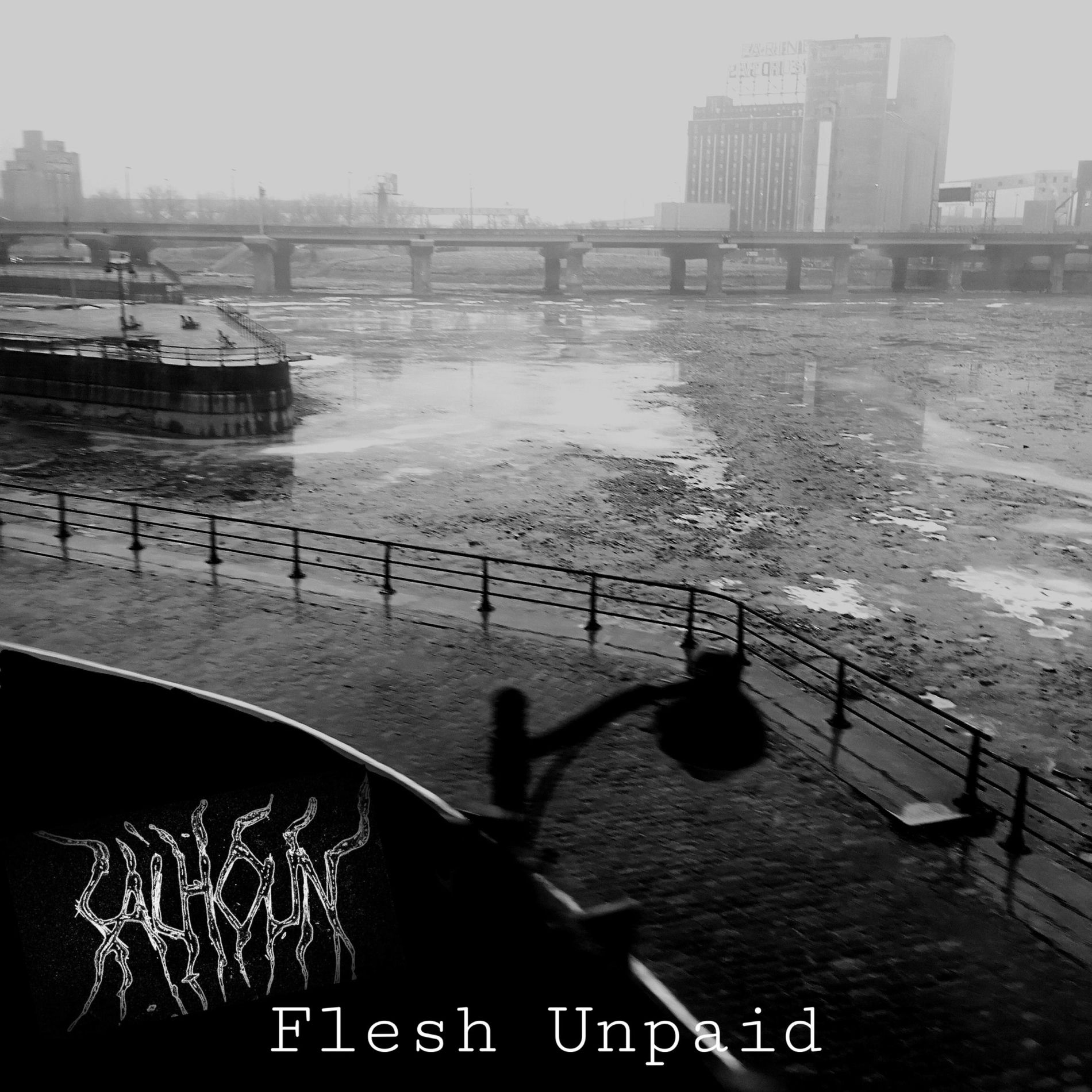 Album cover of Flesh Unpaid