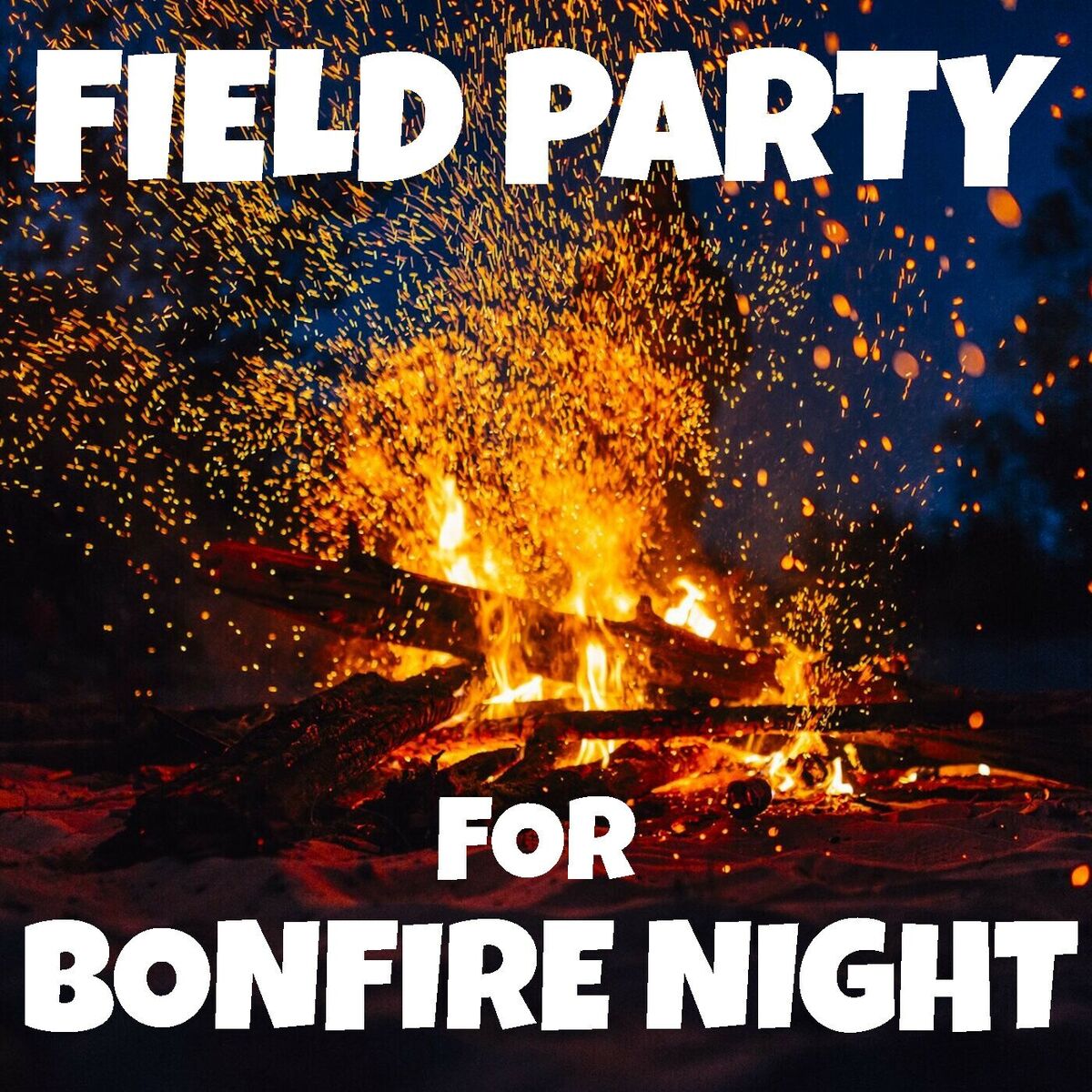 Album cover of Field Party For Bonfire Night
