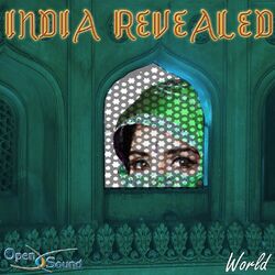 Cover of India Revealed