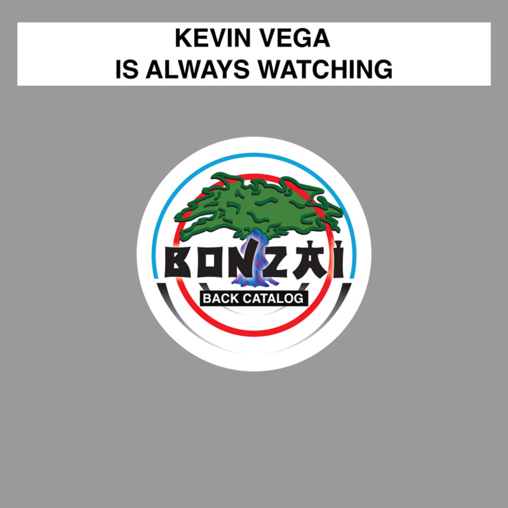 Picture of Is Always Watching