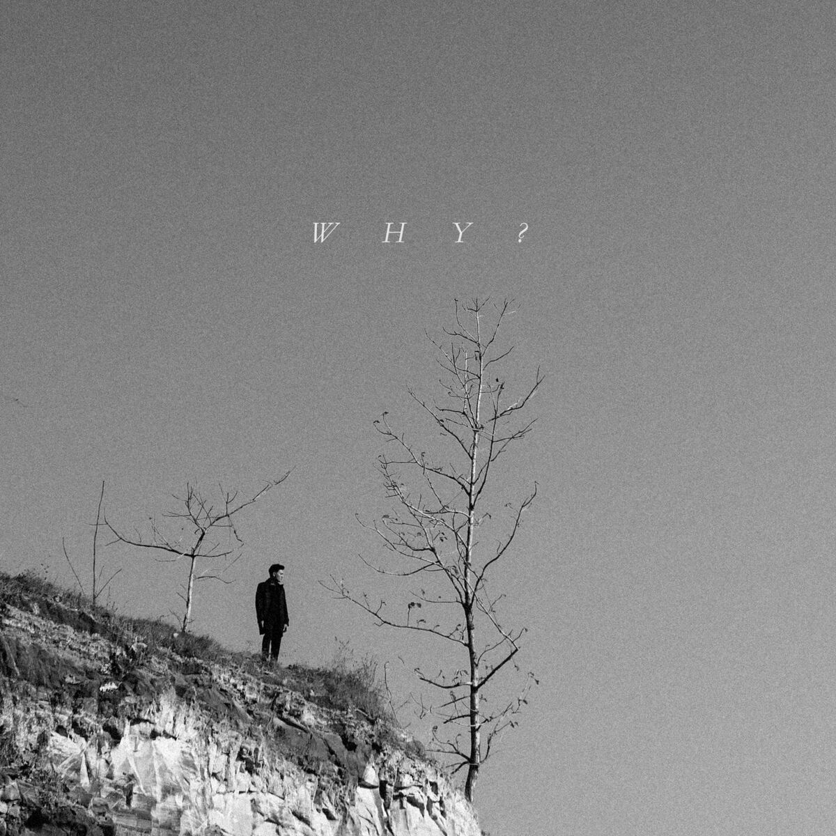 Album cover of Why? (feat. Matter Mos)