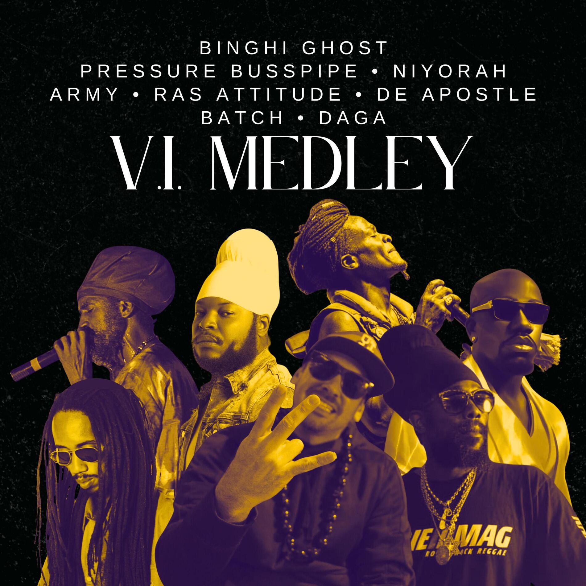Album cover of V.I. Medley (feat. Army, Ras Attitude, De Apostle, Batch & DAGA)
