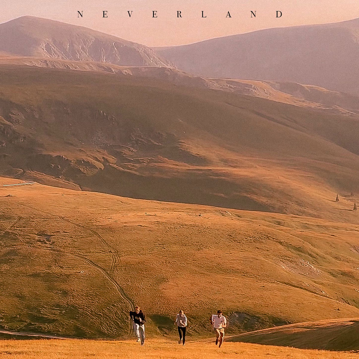 Album cover of neverland