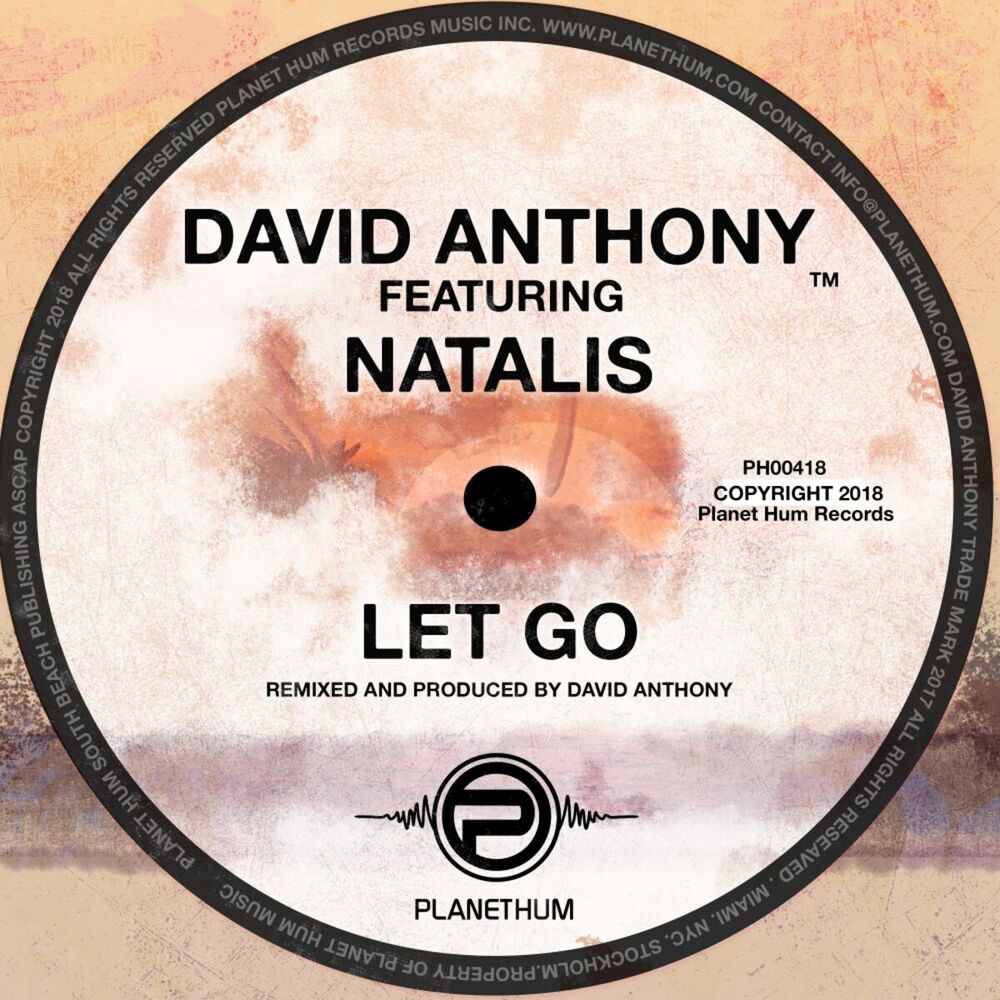 Picture of Let Go