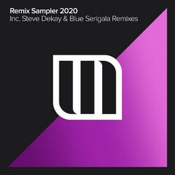 Cover of Remix Sampler 2020