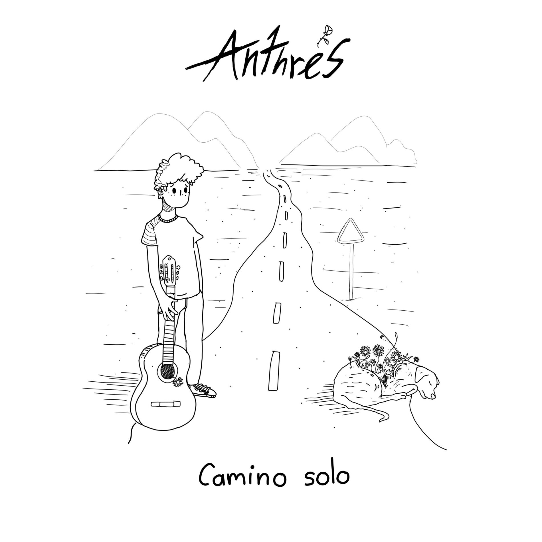 Album cover of Camino Solo