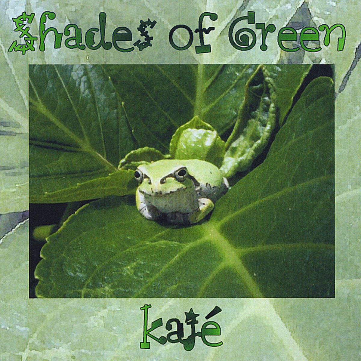 Album cover of shades of green -Voices of Reflection-