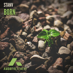 Cover of Born