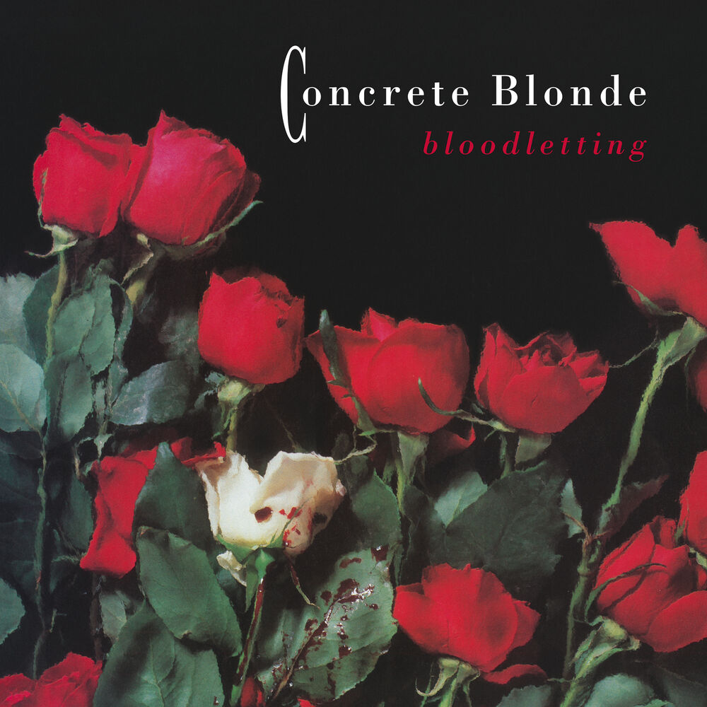 Picture of Bloodletting