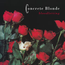 Cover of Bloodletting