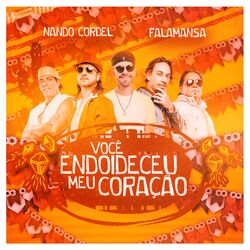 Cover of Você Endoideceu Meu Coração
