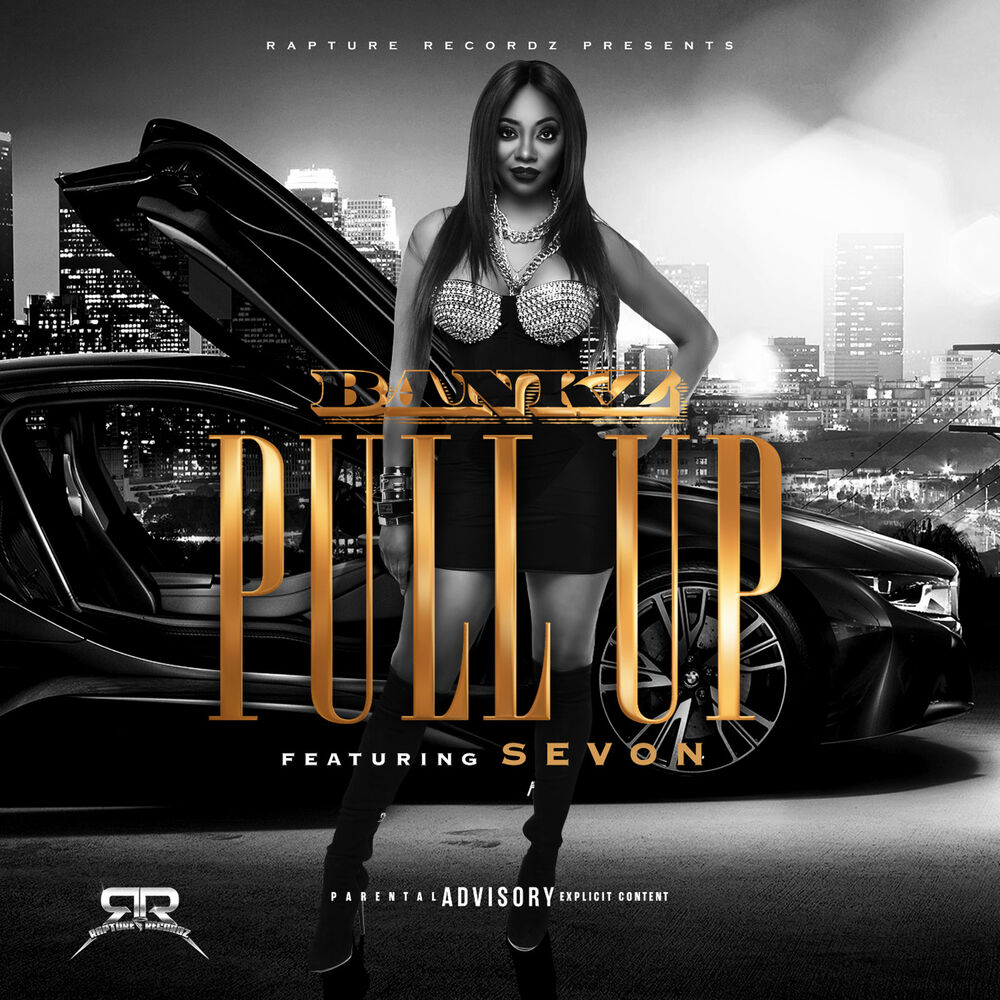 Picture of Pull Up