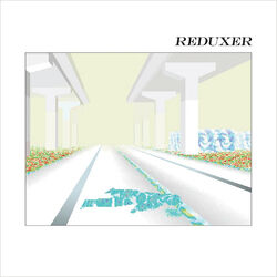 Cover of Reduxer