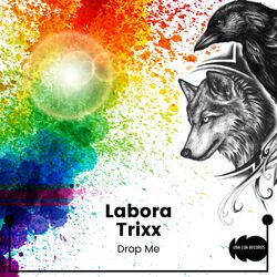 Cover of Drop Me