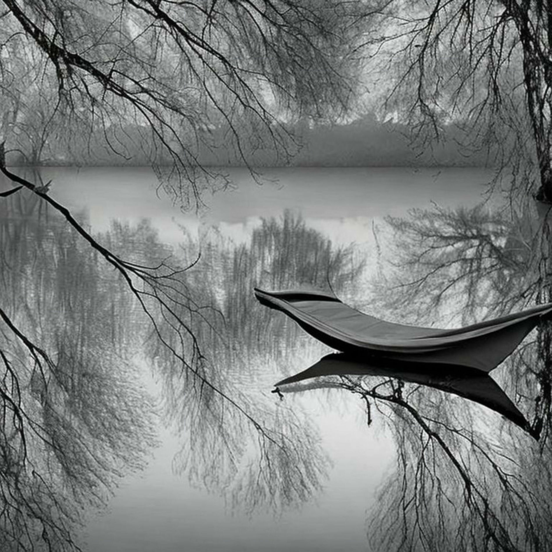 Album cover of Enveloped in Tranquility