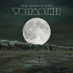 Cover of New Moon Rising
