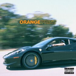 Cover of Orange Print