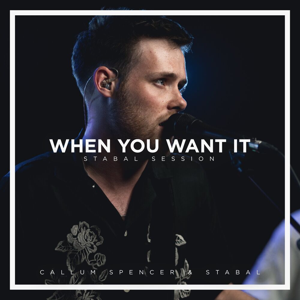 Picture of When You Want It (Stabal Session)