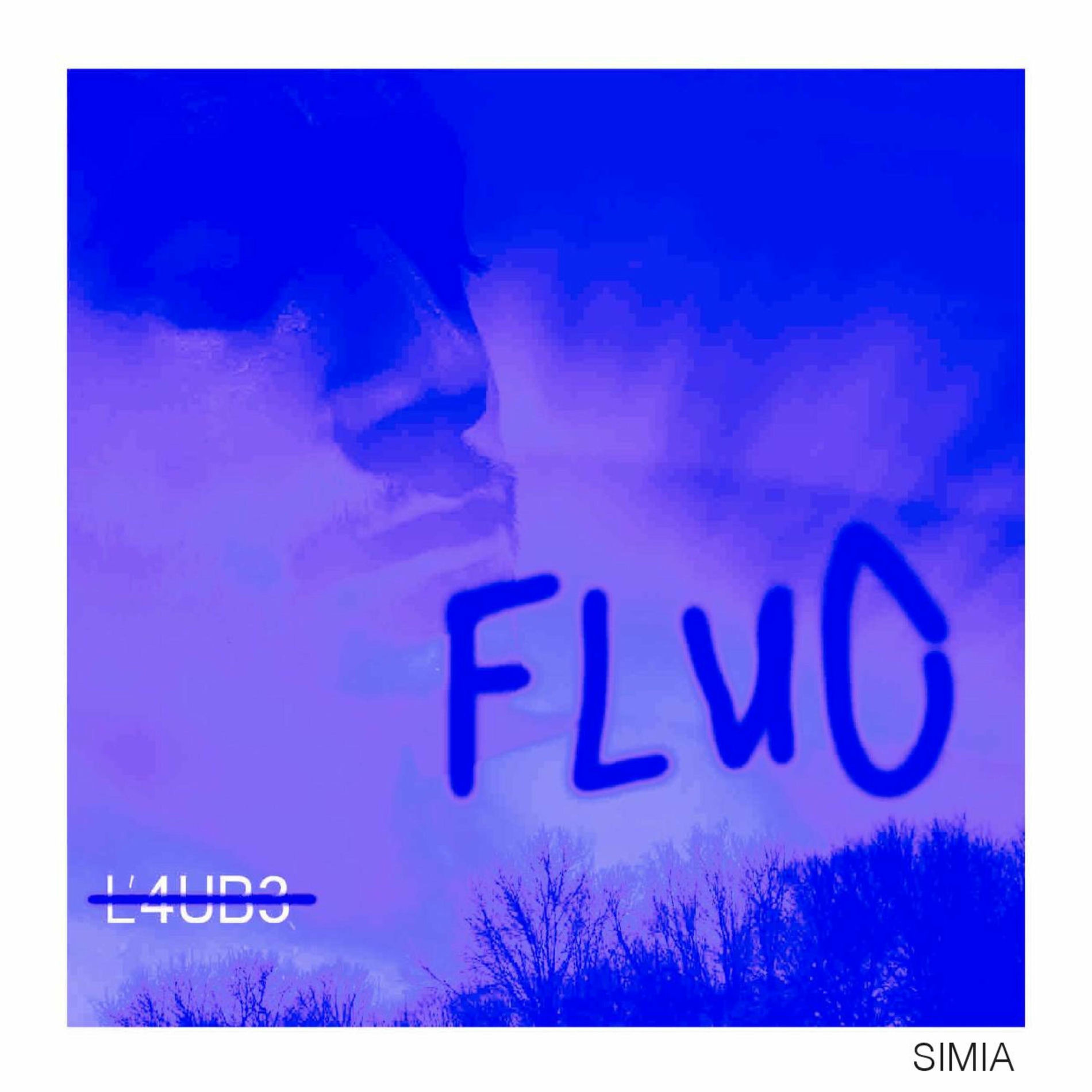 Album cover of Fluo