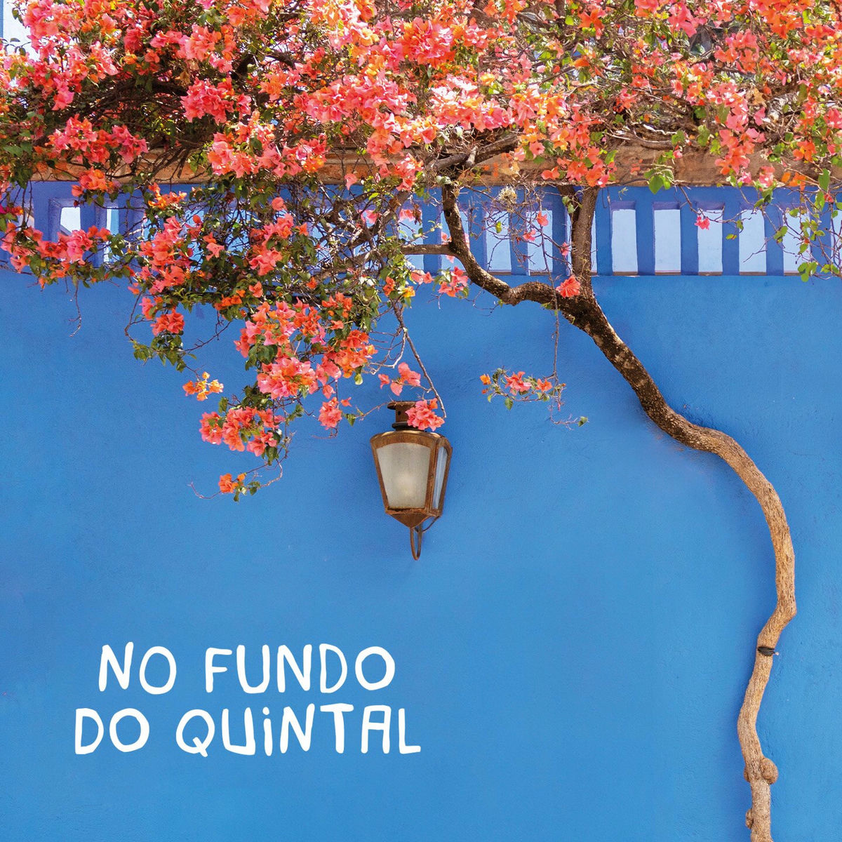 Album cover of No fundo do quintal