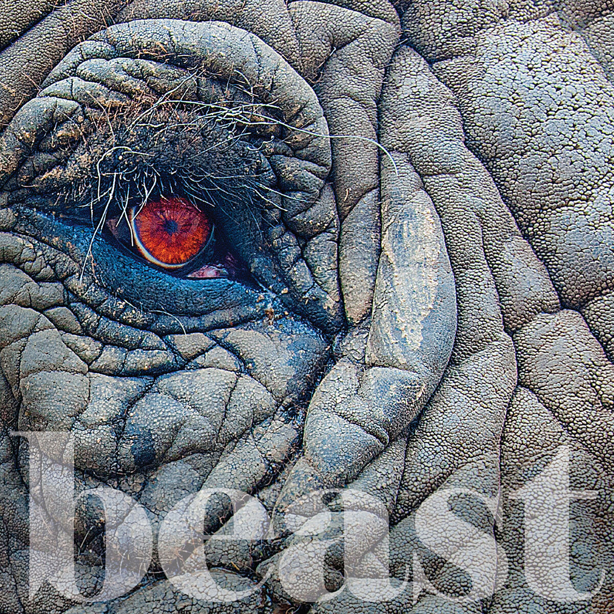 Album cover of Boston Sessions, Vol. 1: Beast