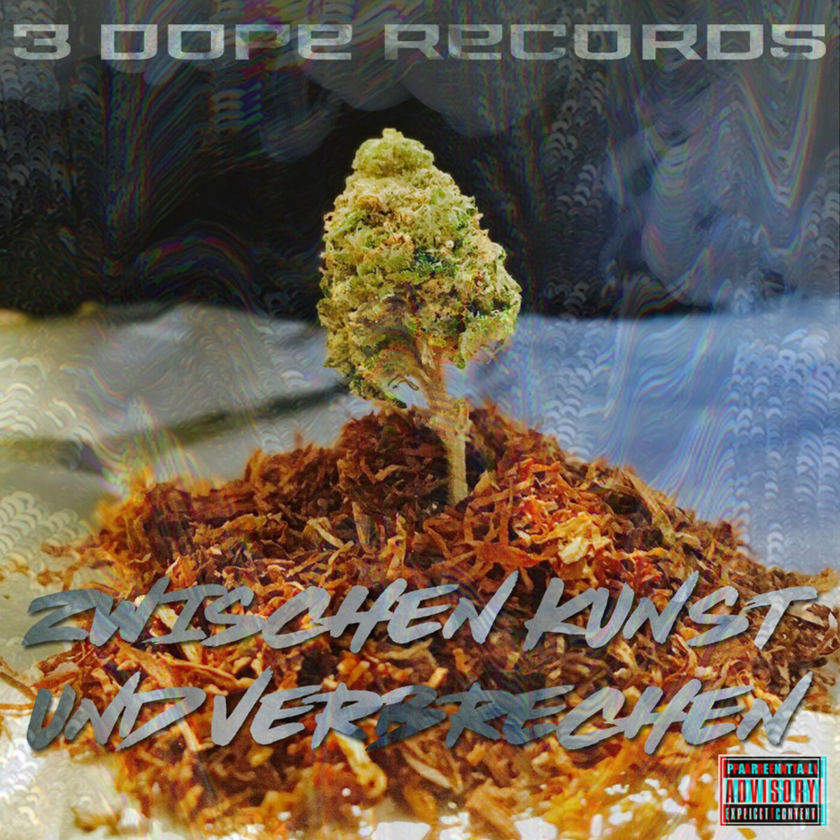 Album cover of Zwischen Kunst & Verbrechen