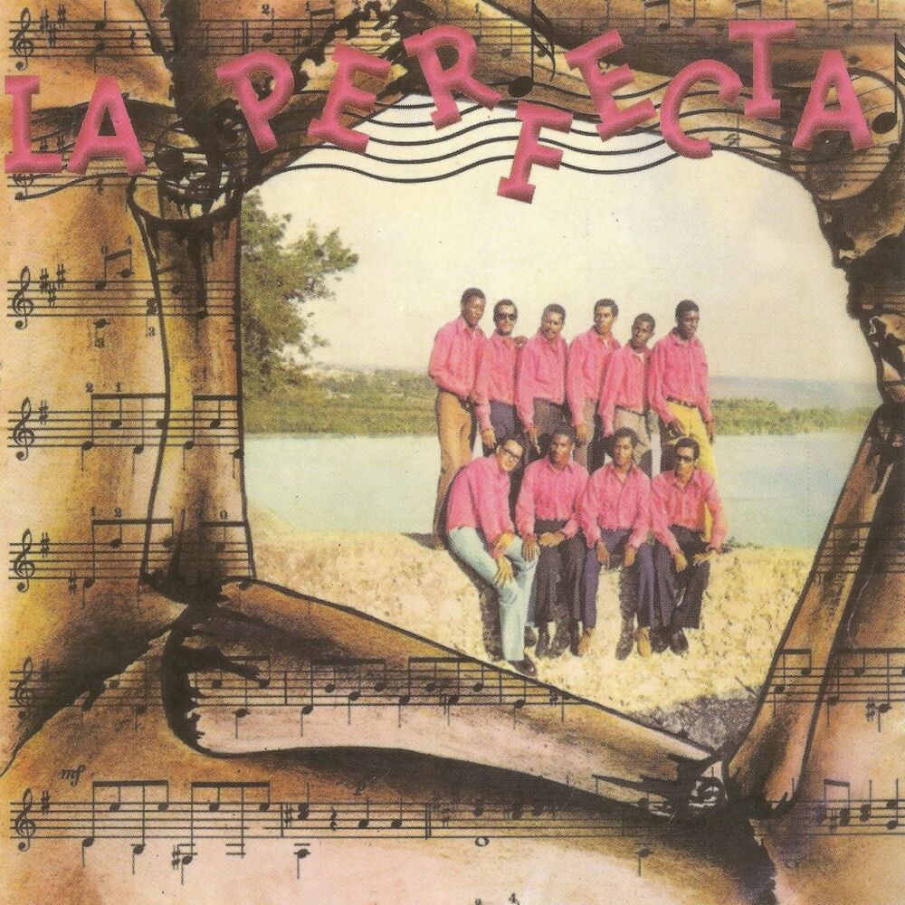 Picture of La perfecta