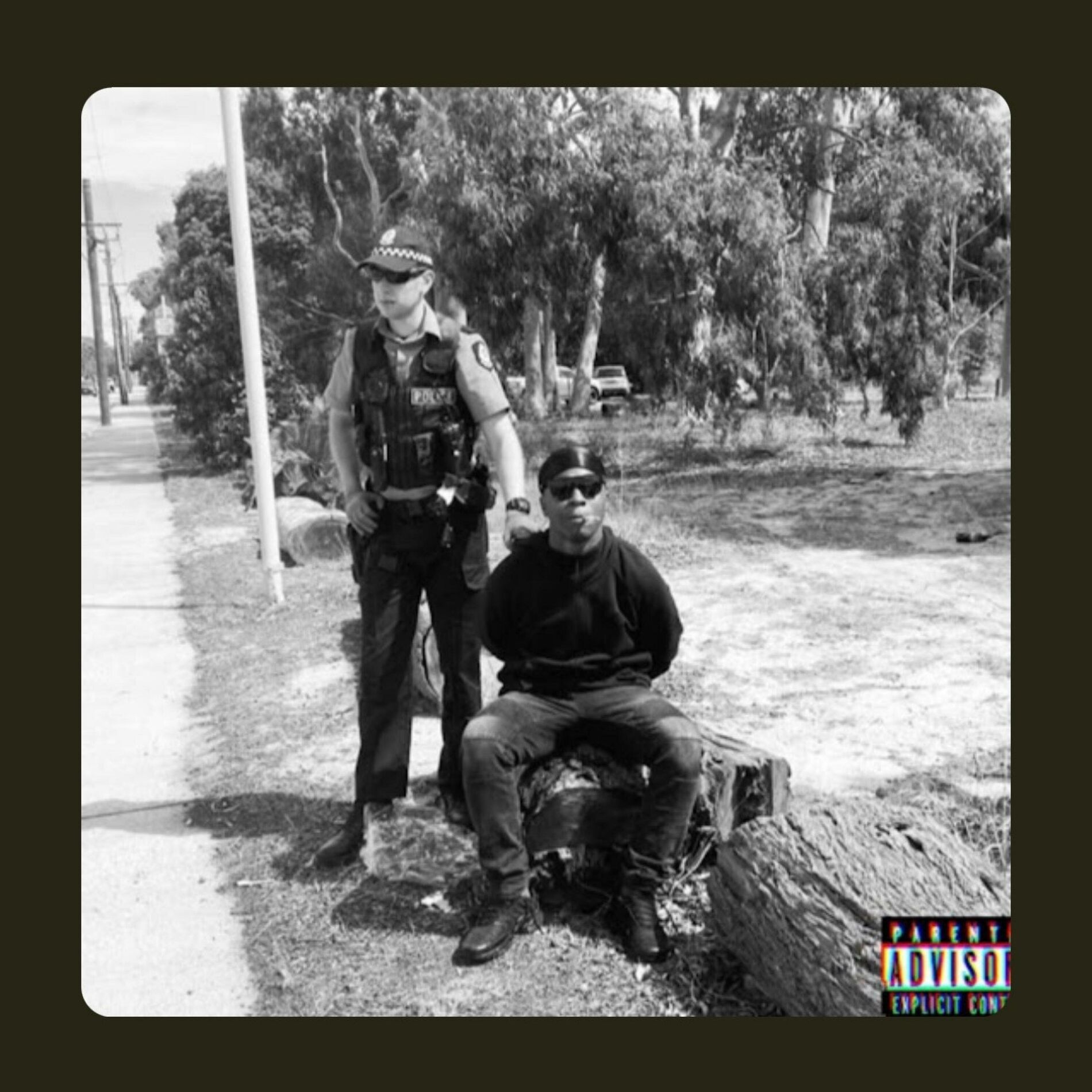 Album cover of Diary Of A Pimpy KID