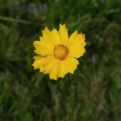 Soon – Scent – EP