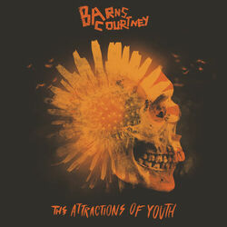 Cover of The Attractions Of Youth