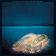 Cool Dance by Edgar Winter album cover