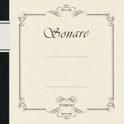 Pochette album