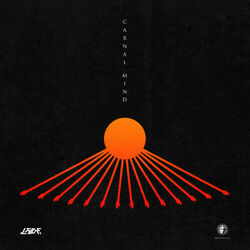Cover of Carnal Mind