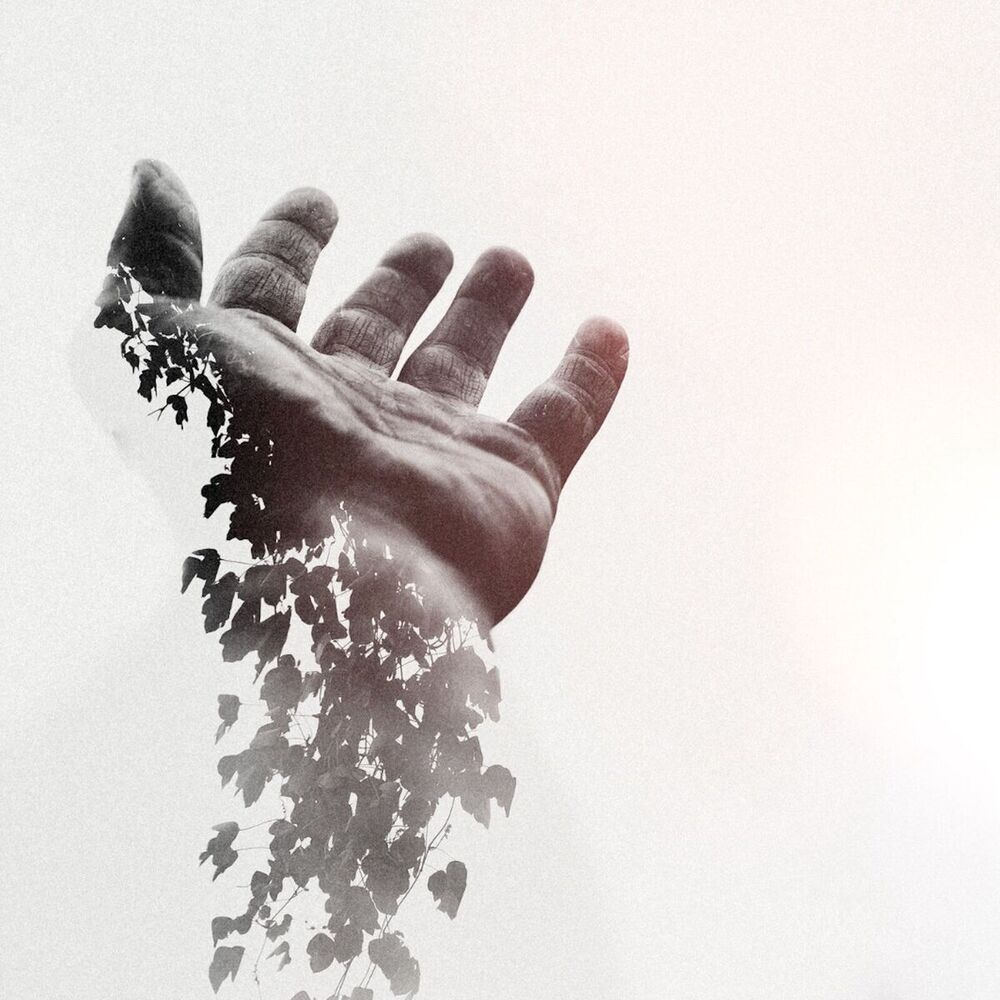 Picture of Don't Let Go