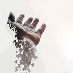 Cover of Don't Let Go