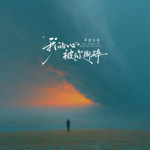 我的心被你撕碎