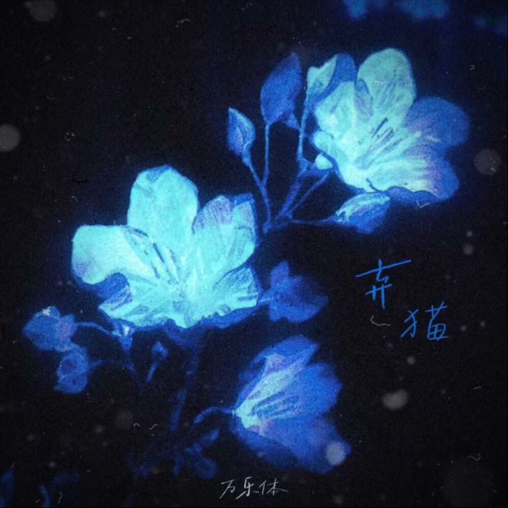 Picture of 弃猫