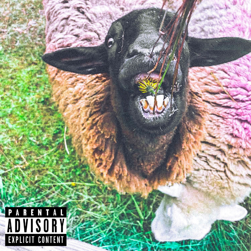 Album artwork for 21st Century Ignorance by Dregg