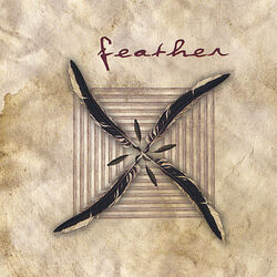 Cover of Feather
