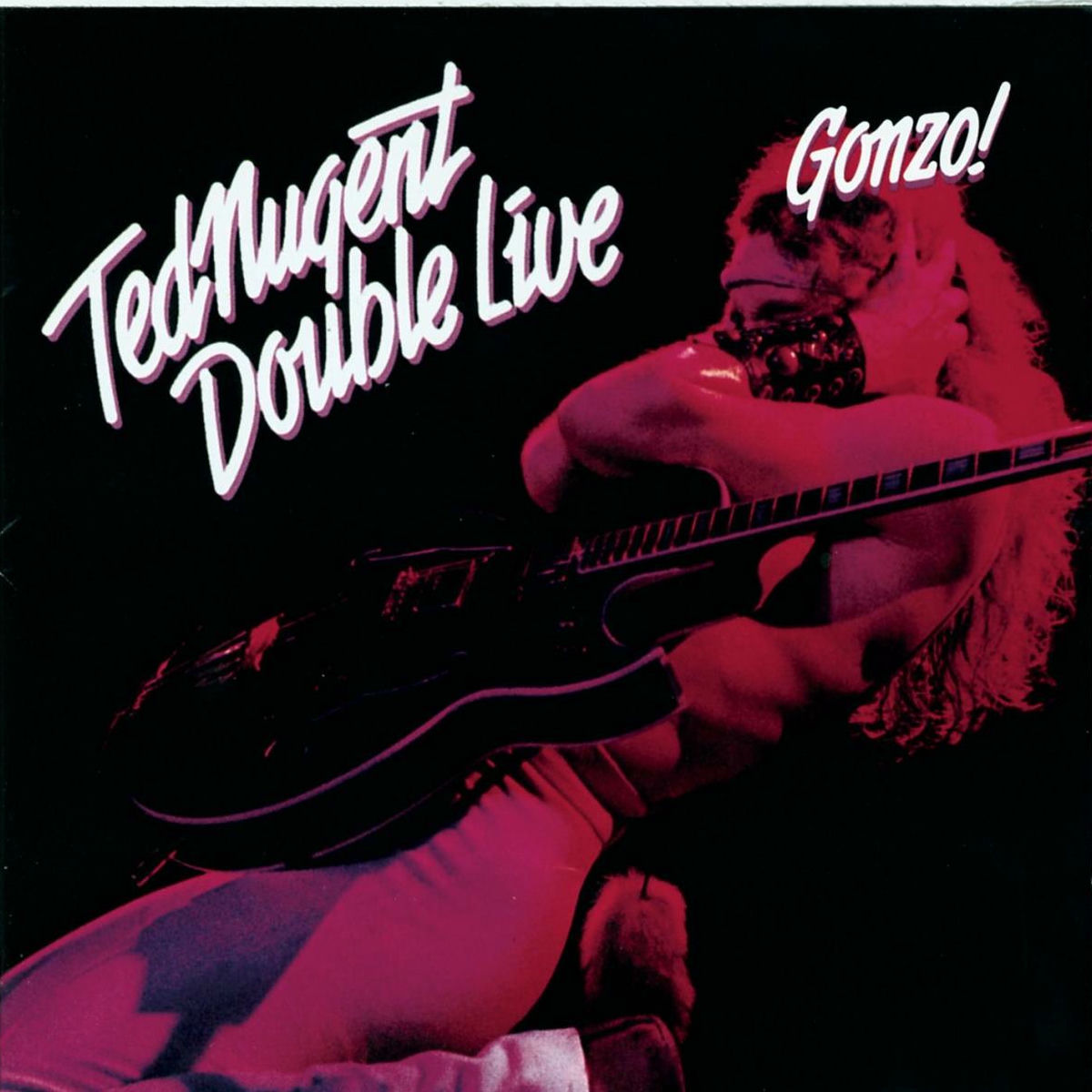 Album cover of Double Live Gonzo