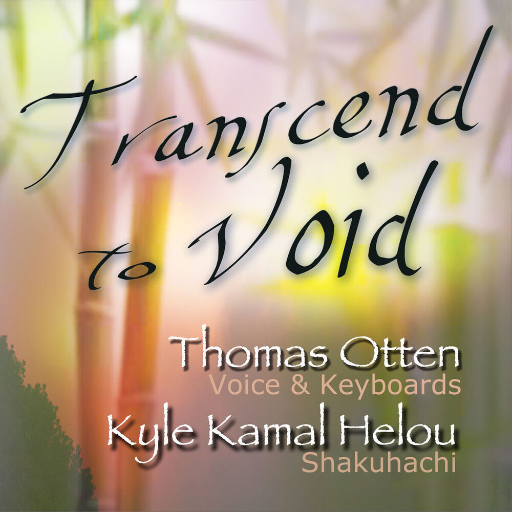 Picture of Transcend to Void