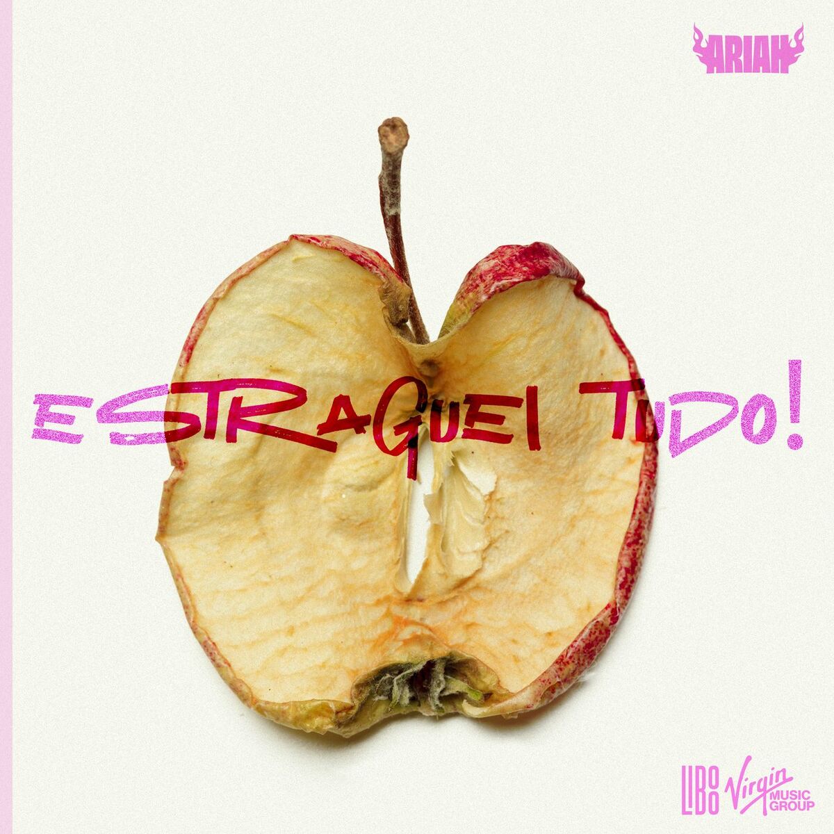 Album cover of estraguei tudo!