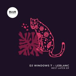 music cover